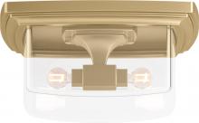 Kohler Lighting 31760-FM02-2GL - Riff Two-Light Flush-Mount