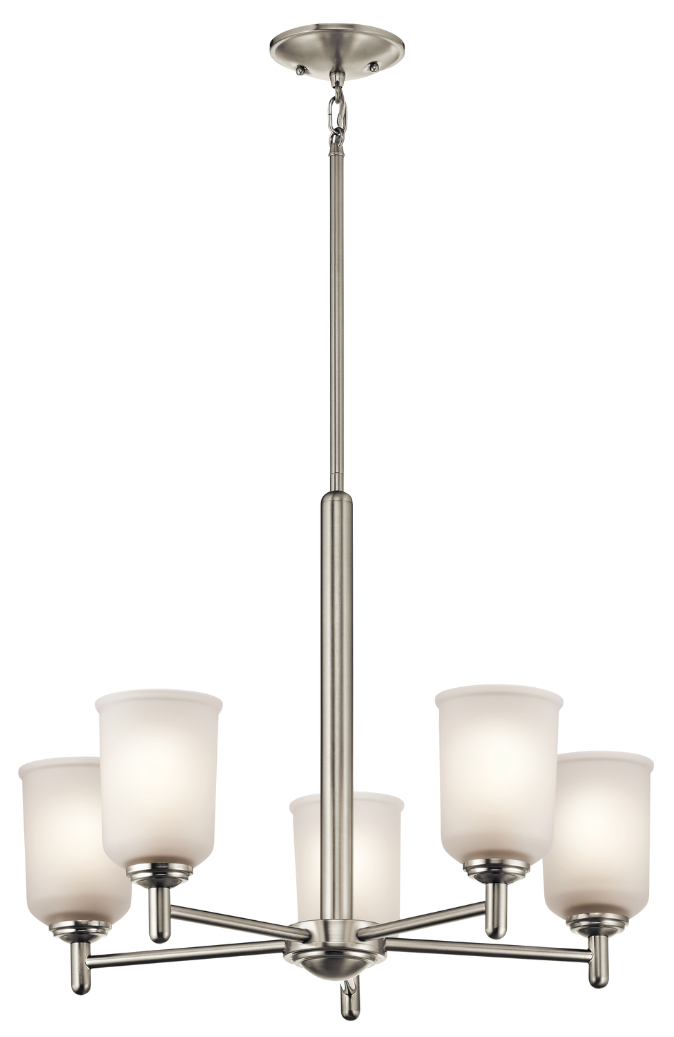 Shailene 18.25" 5 Light Chandelier with Satin Etched Glass in Brushed Nickel