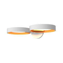 LIGHT GUIDE RING