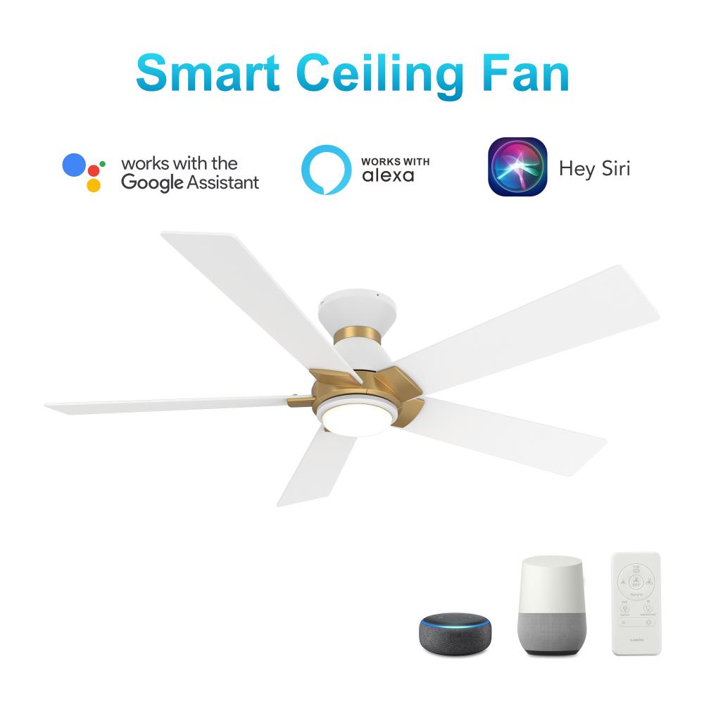 Ascender 48-inch Smart Ceiling Fan with Remote, Light Kit Included, Works with Google Assistant, Ama