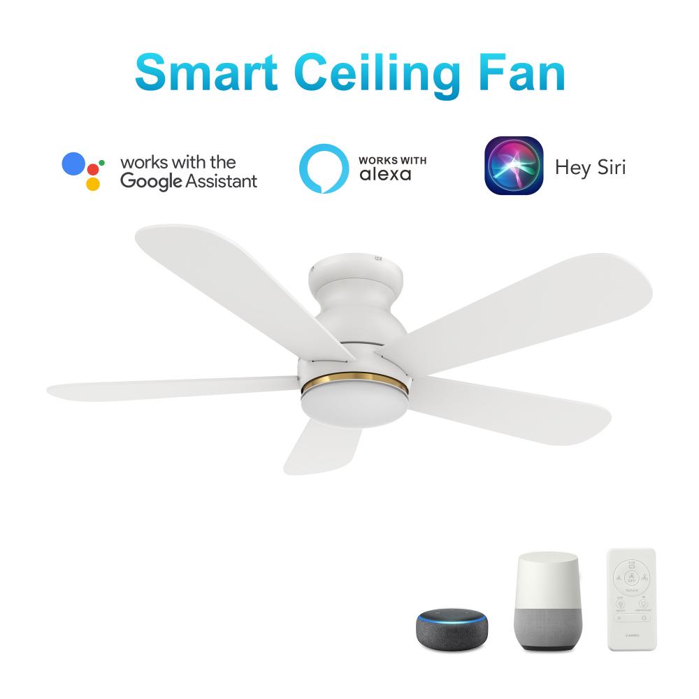 Dubois 48'' Smart Ceiling Fan with Remote, Light Kit Included?Works with Google Assistant an