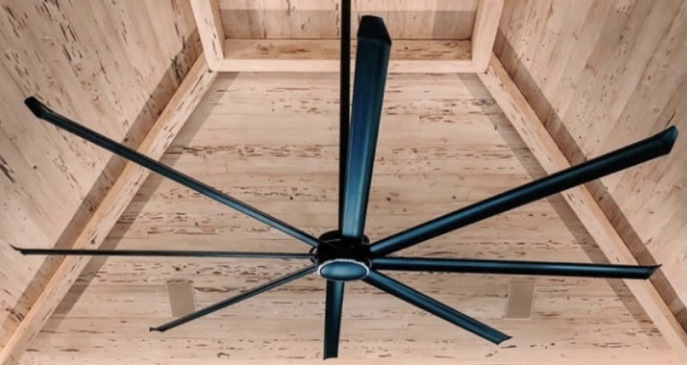 Essence 10ft Fan