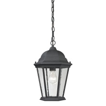 Atlas Lighting OL11047-BK - Temple Hill 10'' Wide 1-Light Outdoor Pendant - Matte Textured Black