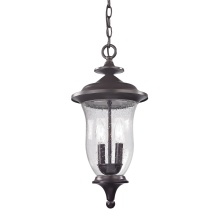 Atlas Lighting OL11048-BZ - Trinity 9'' Wide 2-Light Outdoor Pendant - Oil Rubbed Bronze