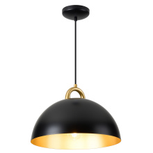 Artcraft AC12001BB - Pendant