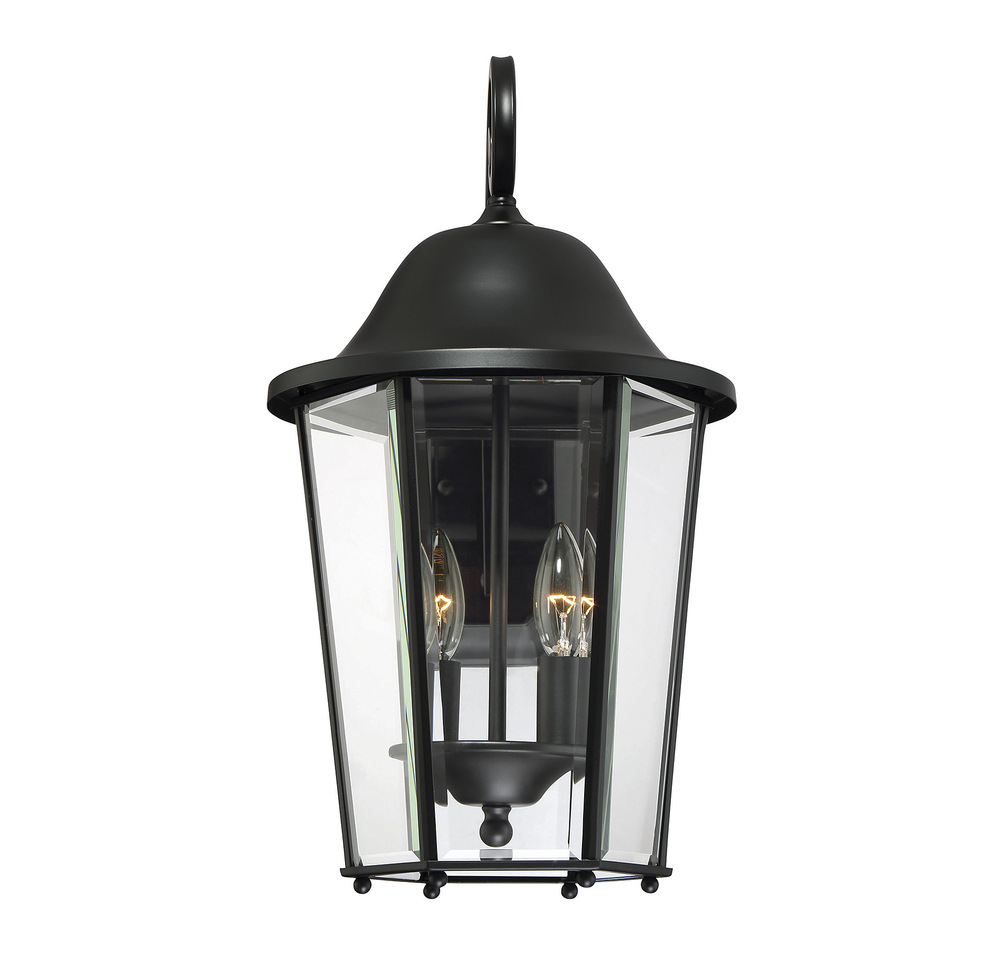 Truscott 2 Light Wall Lantern