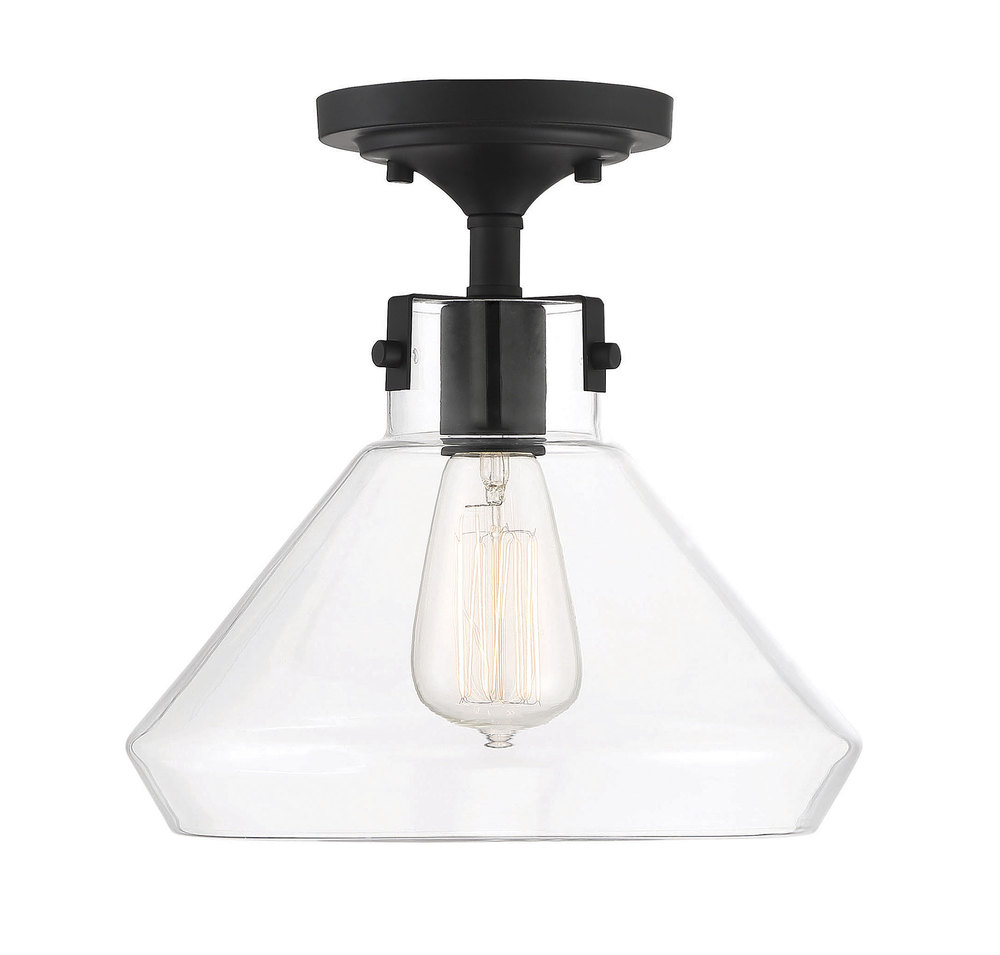 Walpole 1-Light Ceiling Light in Matte Black