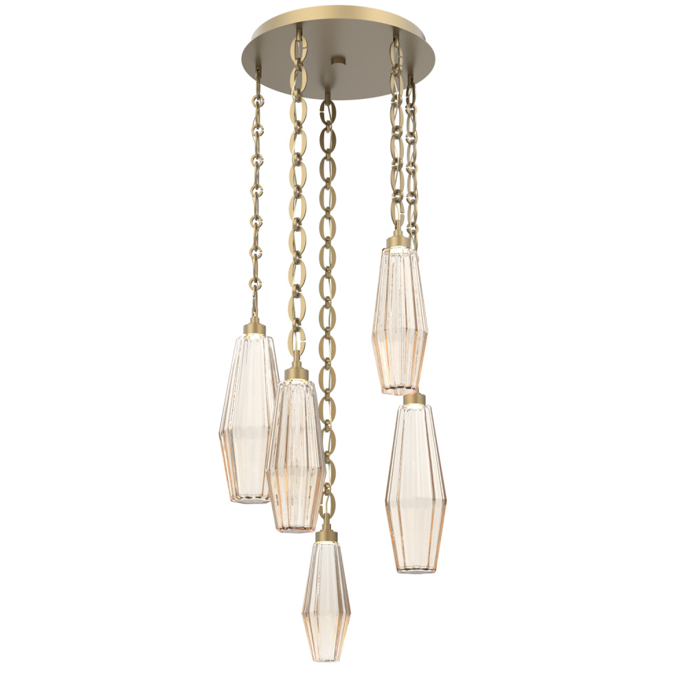 Aalto Round 5pc Multi-Pendant with Chain