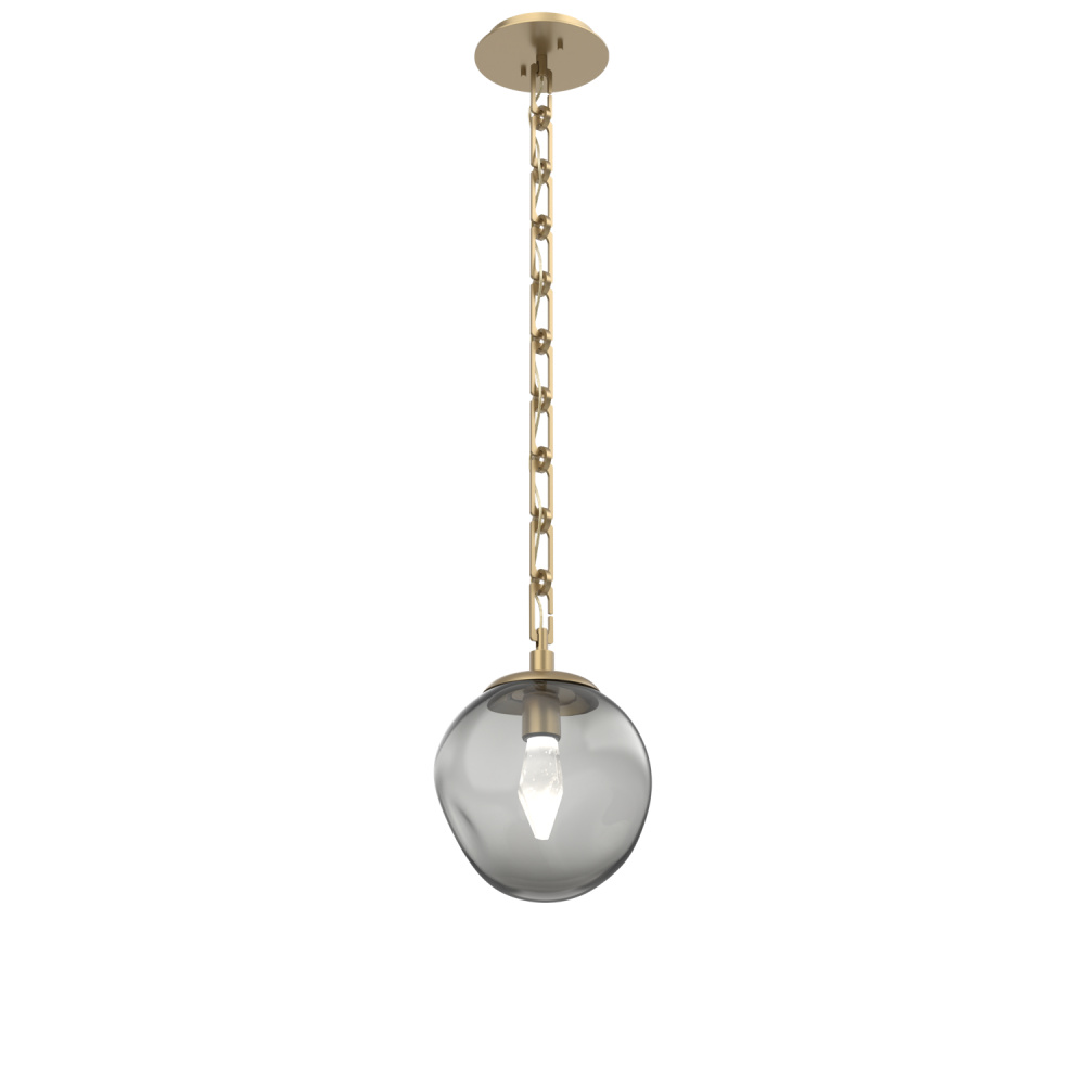 Aster Round Single Pendant with Chain (LED)