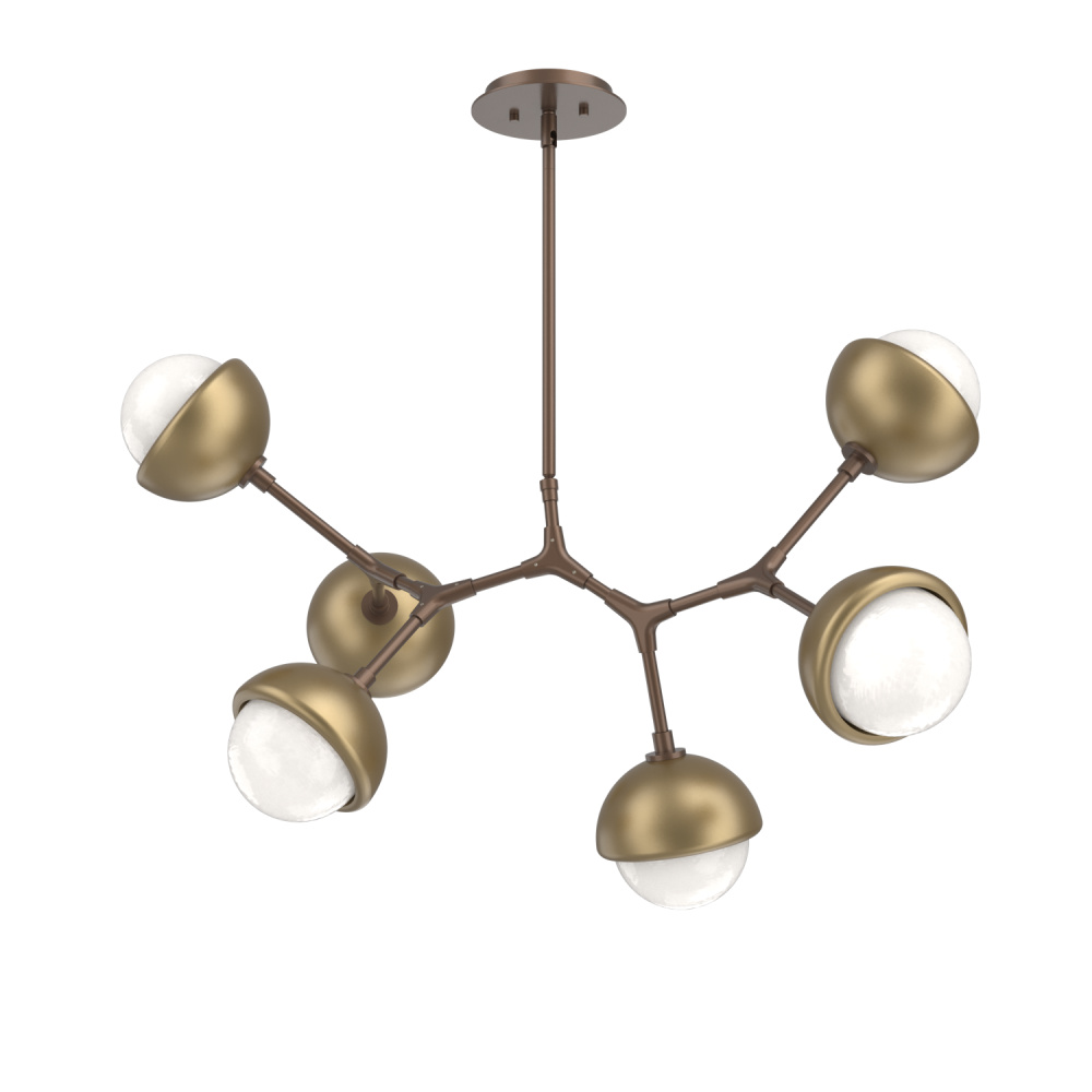 Cabochon Modern Branch - 6pc