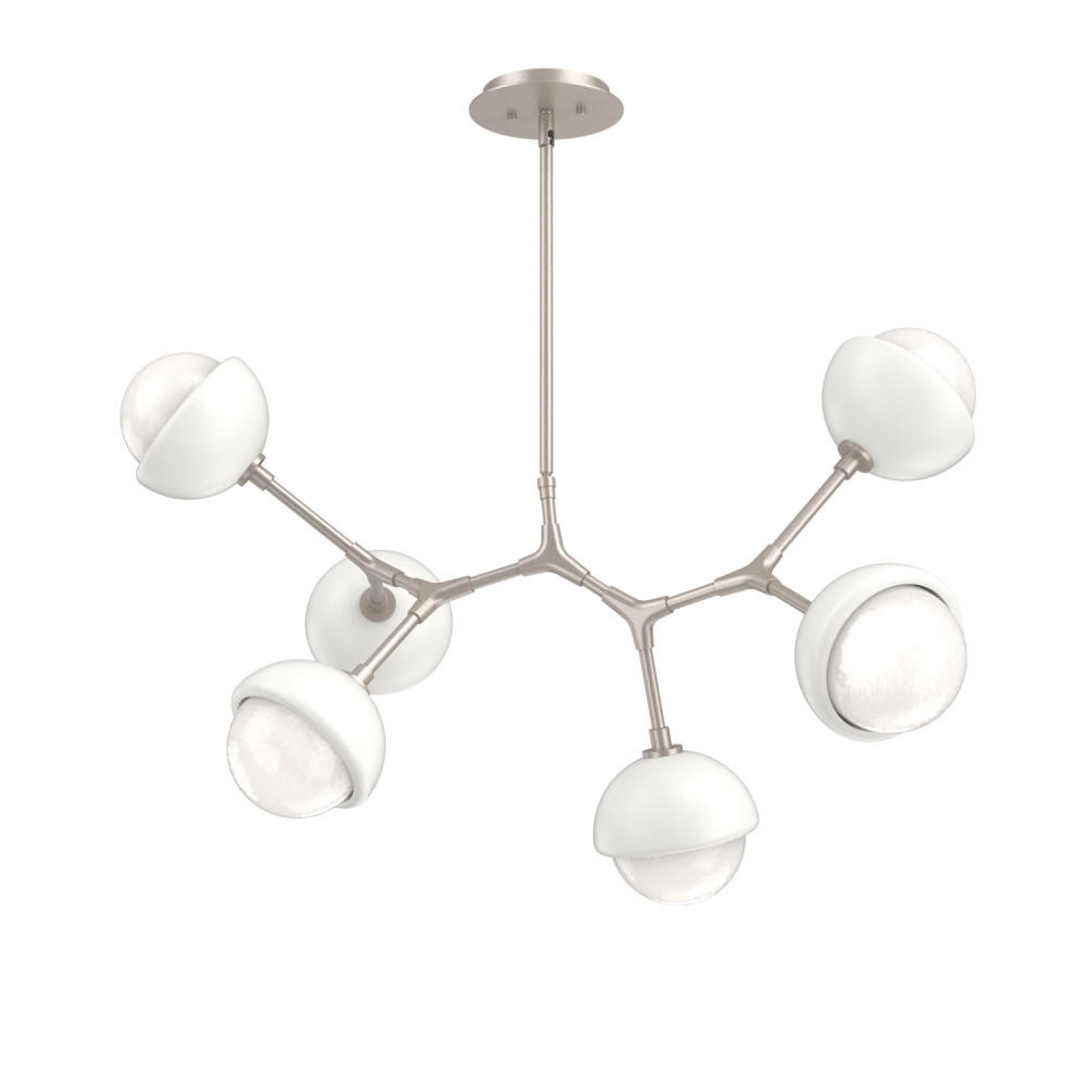 Cabochon Modern Branch - 6pc