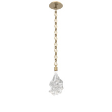 Hammerton LNB0059-01-GB-BC-CH1-L1 - Blossom Pendant with Chain