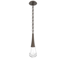 Hammerton LNB0078-01-FB-C-CH1-L1 - Raindrop Chain Pendant