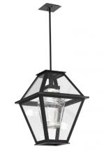 Hammerton OPB0072-01-TB-CS-001-L2 - Outdoor Terrace Pendant