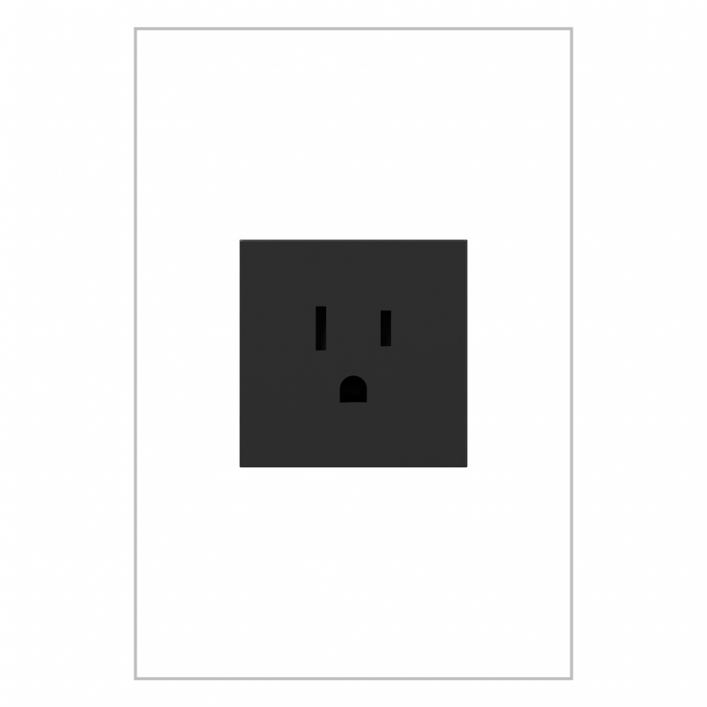 adorne 15A Single Tamper-Resistant Outlet, Graphite