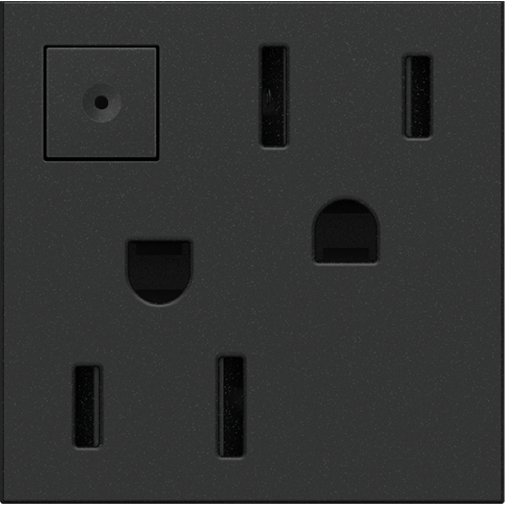 adorne 15A Energy-Saving On/Off Outlet, Graphite