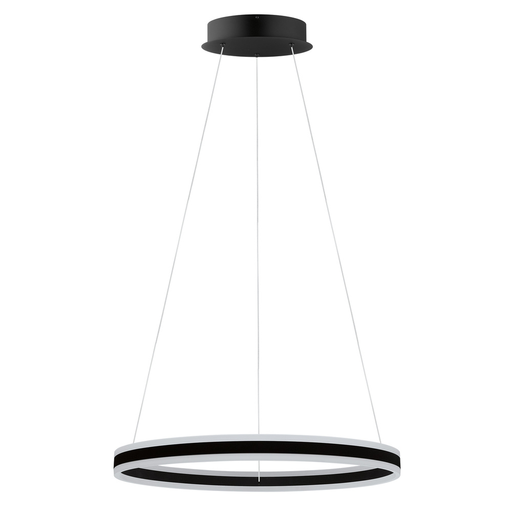 LED Pendant Light