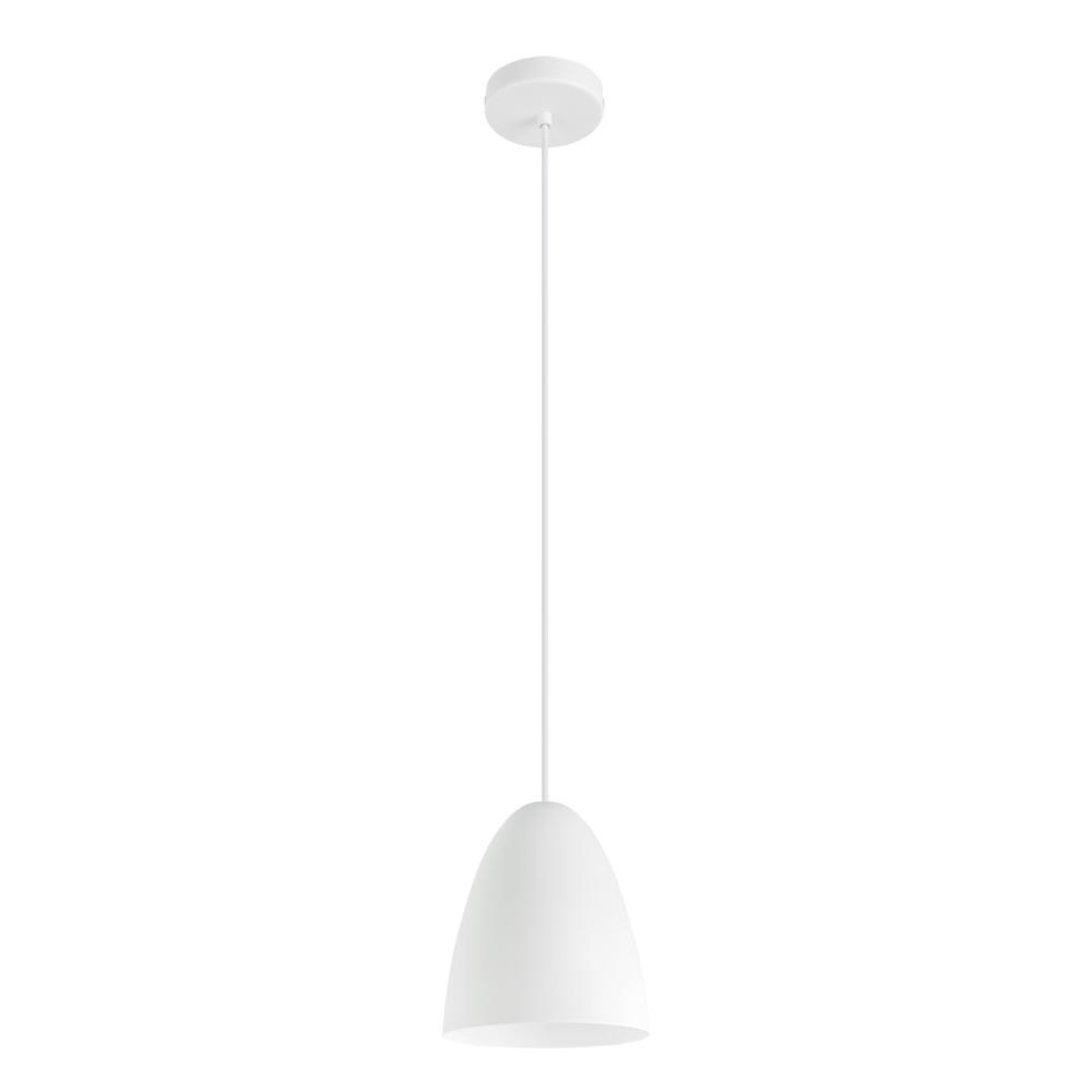 1L Pendant Light