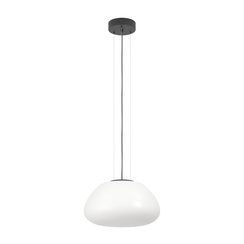 1L Pendant Light