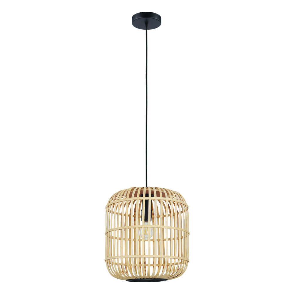 1L Pendant Light