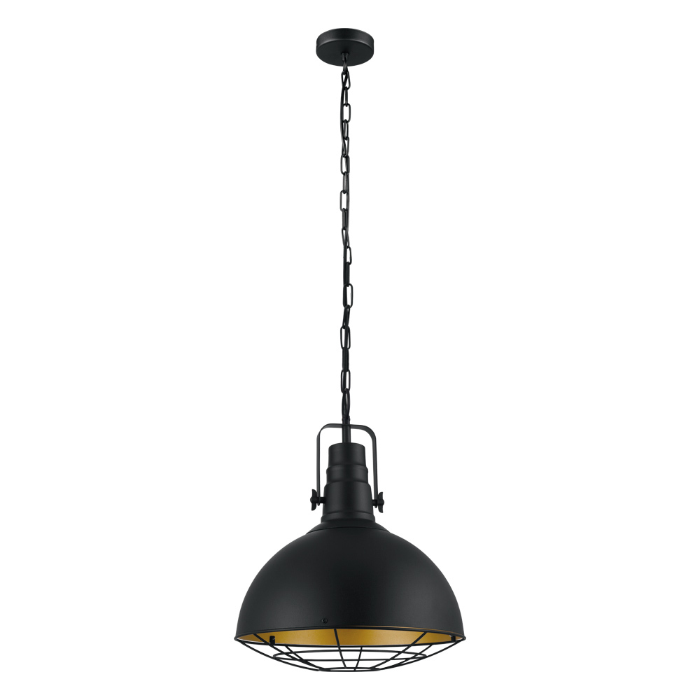 1L Pendant Light