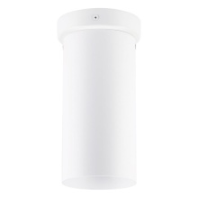 Eglo 204899A - 1L Flush Mount