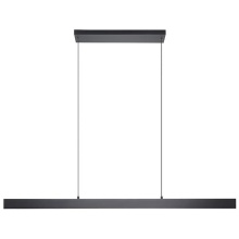 Eglo 206038A - LED Pendant Light