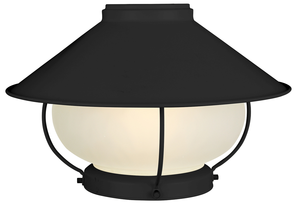 Wire Cage Frost Glass w/1x9w LED- FB