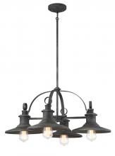Designers Fountain D207M-4CH-WP - Aurora 4 Light Chandelier