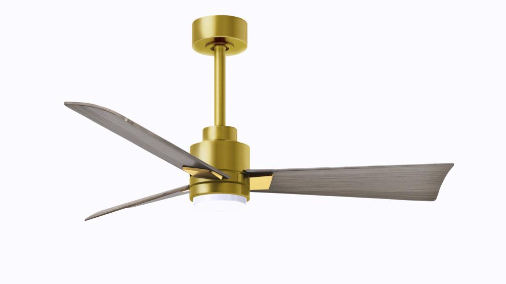 Alessandra-42" Three Blade Transitional Ceiling Fan-5CCT Integrated LED-Brushed Brass Finish