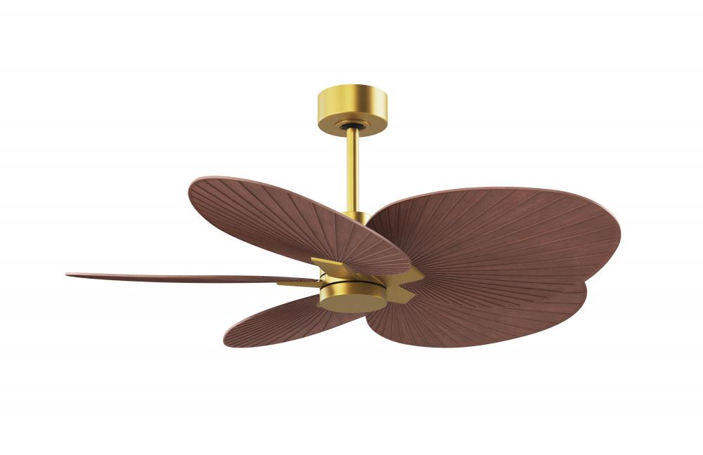 Alessandra Tropical - Five Blade Ceiling Fan - Brushed Brass Finish - Walnut Tone Blades