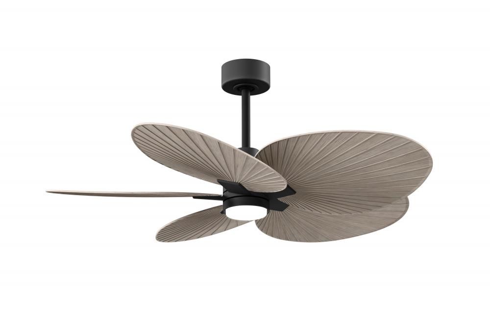Alessandra Tropical-Five Blade Ceiling Fan-5CCT Integrated LED-Matte Black Finish