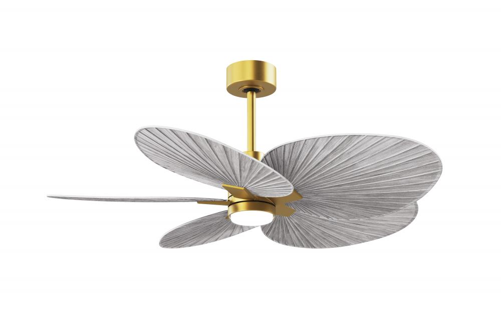 Alessandra Tropical-Five Blade Ceiling Fan-5CCT Integrated LED-Brushed Brass Finish
