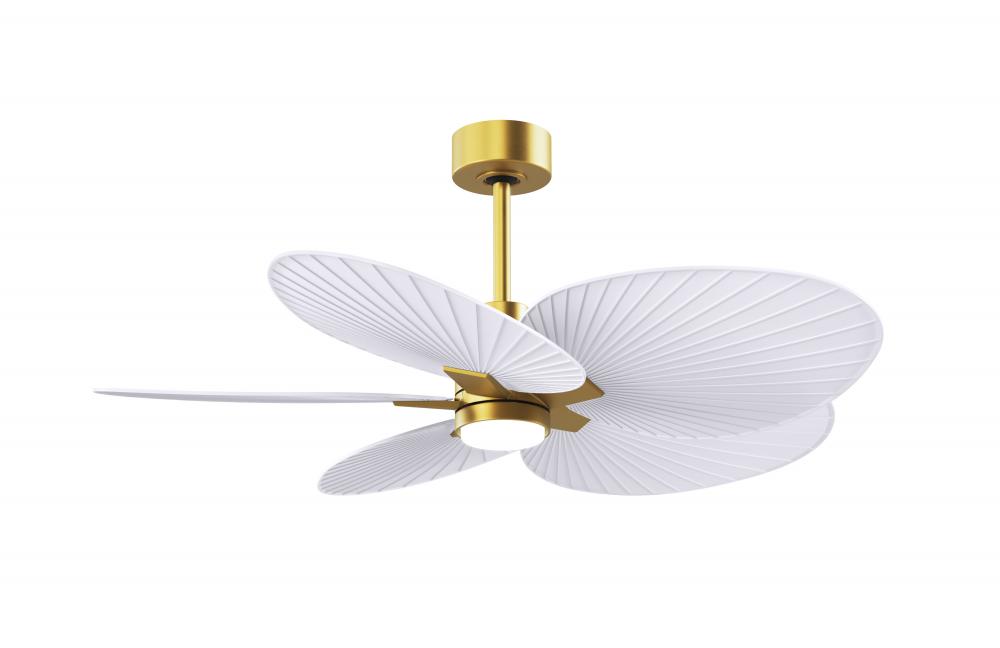 Alessandra Tropical-Five Blade Ceiling Fan-5CCT Integrated LED-Brushed Brass Finish
