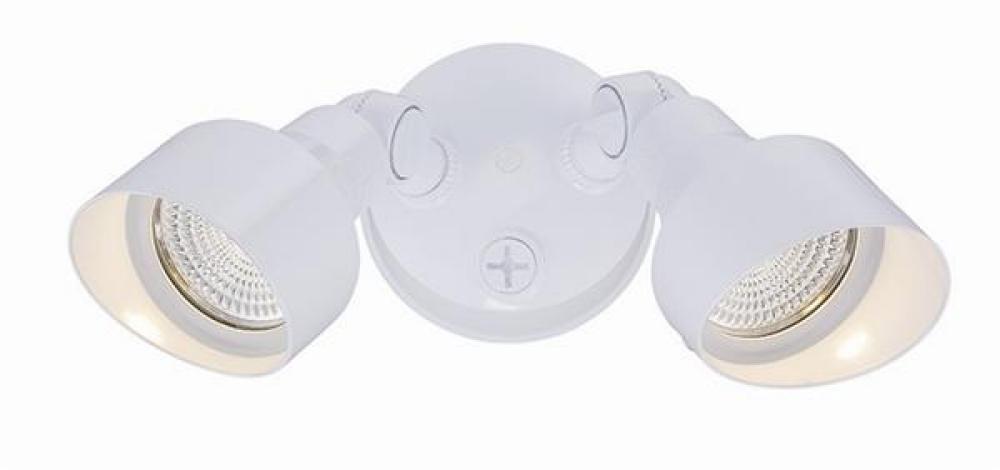 LED Floodlights Collection 2-Light Outdoor White Light Fixture