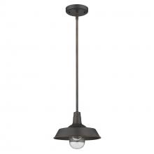 Acclaim Lighting 1736ORB - Burry 1-Light Oil-Rubbed Bronze Convertible Pendant