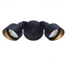 Acclaim Lighting LFL2ABZ - LED Floodlights Collection 2-Light Outdoor Architectural Bronze Light Fixture