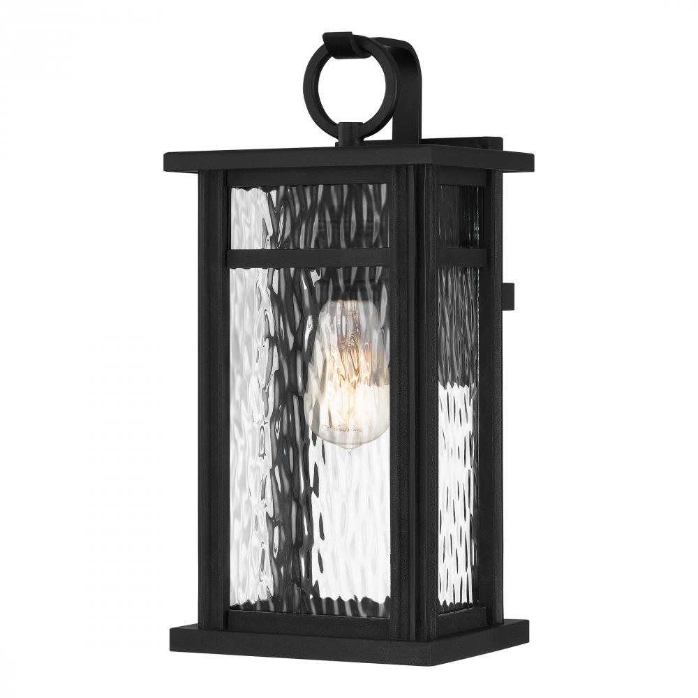 Moira 1-Light Earth Black Outdoor Wall Lantern