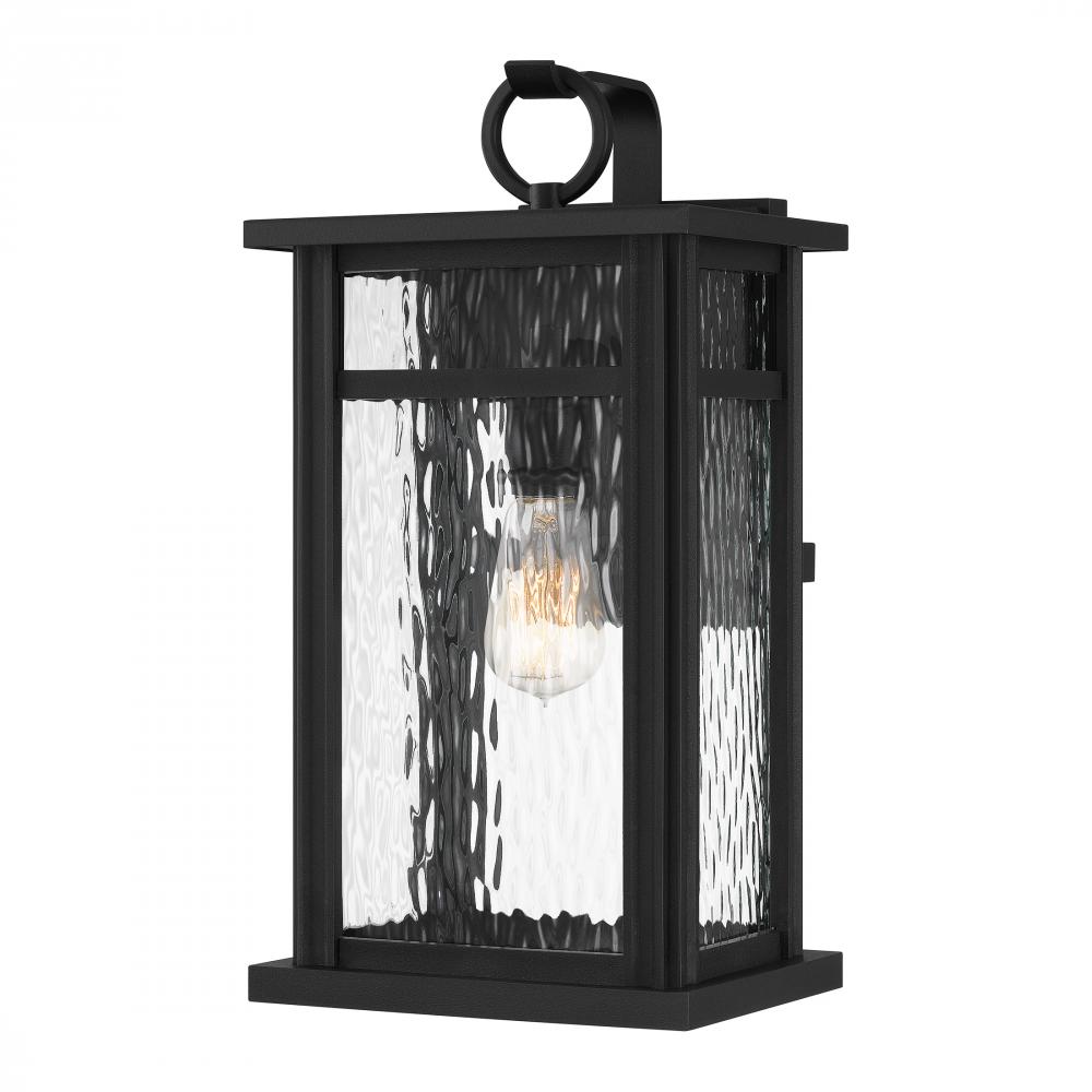 Moira 1-Light Earth Black Outdoor Wall Lantern
