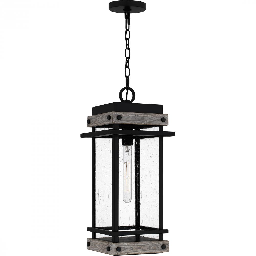 Strader 1-Light Matte Black Outdoor Hanging Lantern