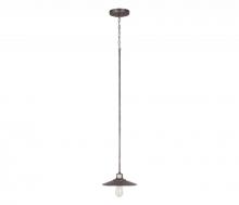 Capital 4190GR - 1 Light Pendant