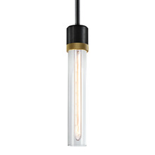 ZEEV Lighting P11708-E26-SBB-K-AGB-G1 - Zigrina 12" Clear Glass E26 Pendant in Black with Knurled Ring in Brass