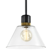 ZEEV Lighting P11708-E26-SBB-K-AGB-G13 - Zigrina Glass Cone E26 Pendant in Black with Knurled Ring in Brass
