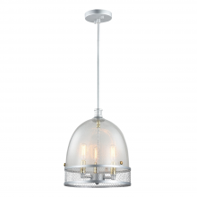 ZEEV Lighting P30035-3-MSL - Theia 11" 3-Light, Boutique Glass Dome Pendant in Matte Silver