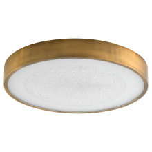 Oxygen 3-656-56 - FLOE 24" 5CCT CEILING MT - BRB