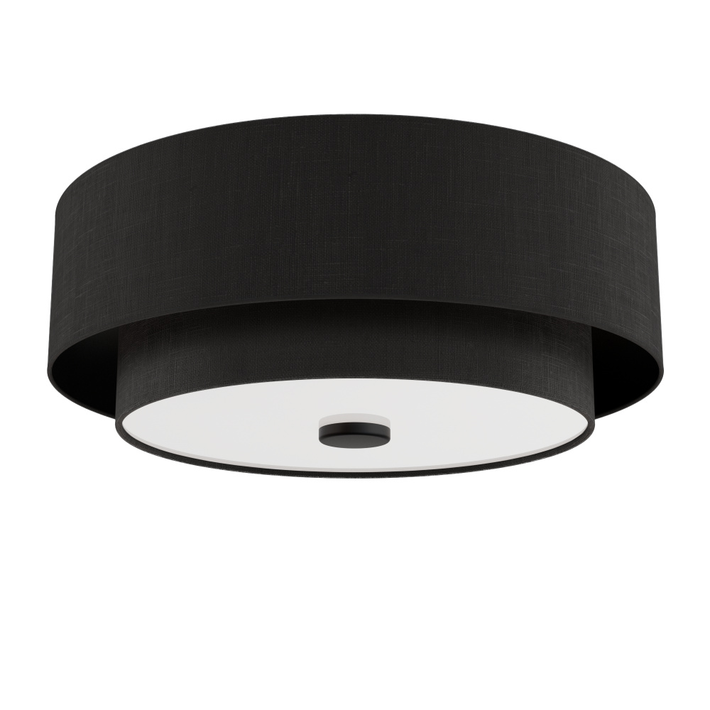 Hunter Brookside Matte Black with Frosted Glass 2 Light Flush Mount Ceiling Light Fixture