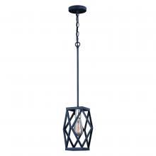 VAXCEL INTERNATIONAL Family