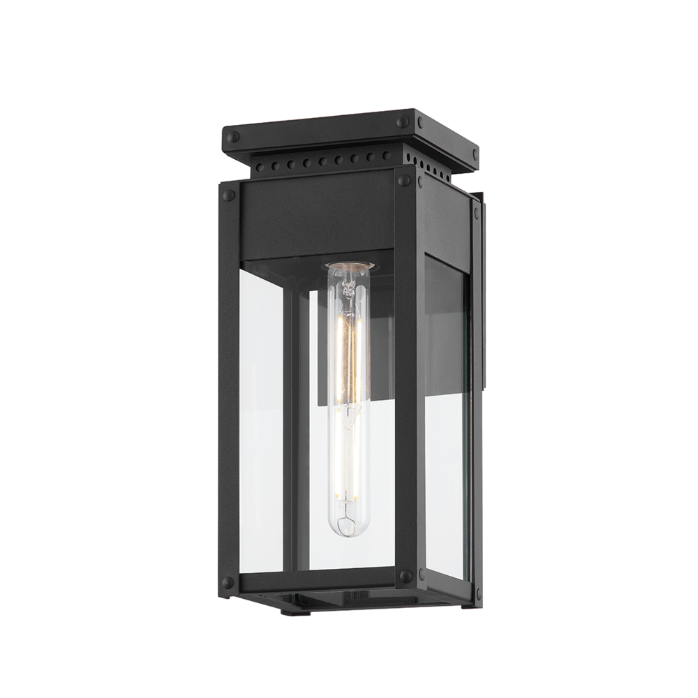 Braydan Exterior Wall Sconce