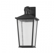 Troy B8907-TBK - Soren Exterior Wall Sconce