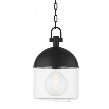 Troy F4510-TBK - Zephyr Exterior Pendant